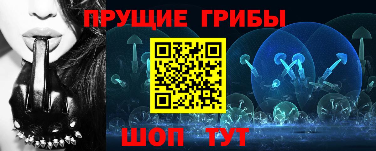 Галлюциногенные грибы Psilocybe Дальнегорск